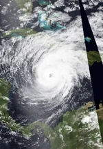 Blaze 2020 Doglantic