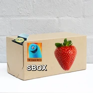 The SBOX.