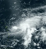 Fay 2026 Future Series Sim Doug