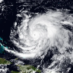 Melissa 2019 image (AM)