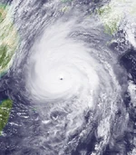 Kujira 2026 sim Cocosnutcenter