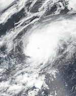Gonzalo38image