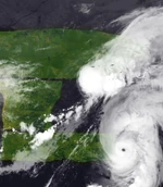 Eleven-M MC 2020-CycloneMC