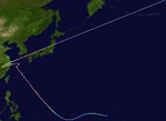 Kujira 2026 track Cocosnutcenter