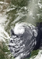 Robert 2020 Doglantic