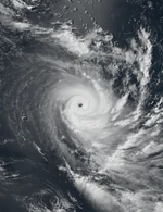 Louise 2031 sim (Sierra)