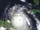 Hurricane Gaston (2022)