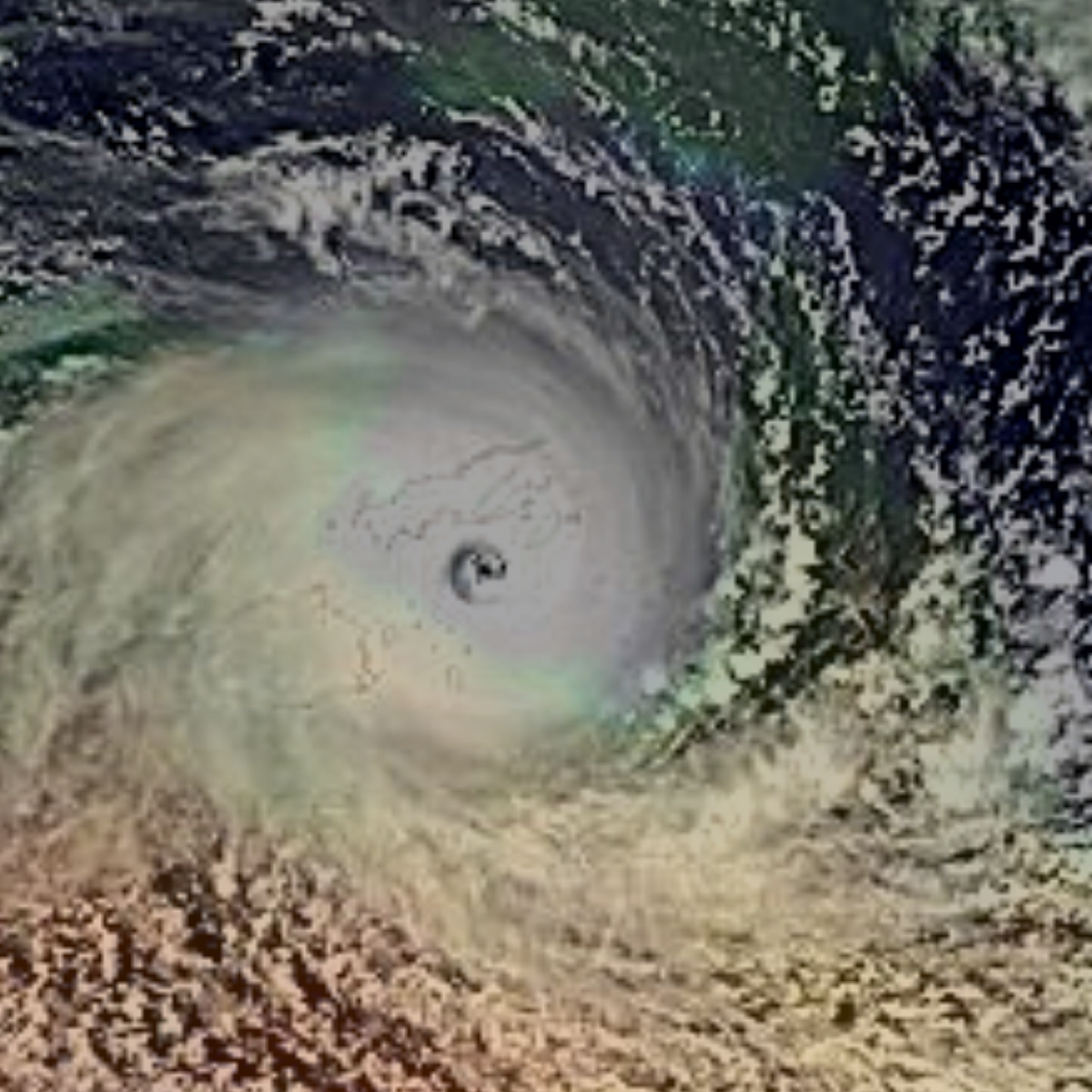 Cyclone Jasper (2023 Juanjose234) Hypothetical Hurricanes Wiki Fandom Cyclone Jasper (2023 Juanjose234) Hypothetical Hurricanes Wiki Fandom