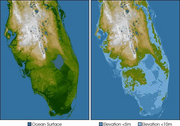 Florida sinks