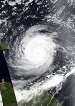 Mallory 2020 Doglantic