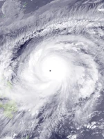 Maysak 2026 sim Cocosnutcenter