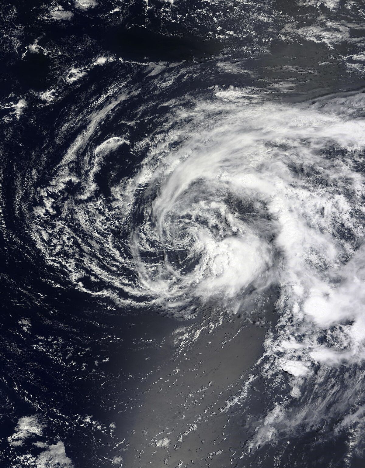 2024 Atlantic Hurricane Season (SimplySunflower) Hypothetical