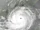Typhoon Tokage (2028)