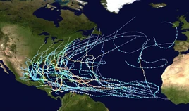 No alt text available for this image