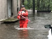 A member of the United States Coast Guard rescuing someone's pet in New South Wales after the storm