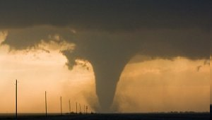 Tornado By Maison Asrar EDP 100ml main image 1