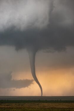 Finzonia's Mega Twister aka The Big One, the Delvin Finzonia's Mega Twister aka The Big One, the Delvin