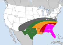 High Risk.png