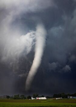Finzonia's Mega Twister aka The Big One, the Delvin Finzonia's Mega Twister aka The Big One, the Delvin