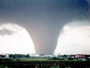One of the Canton, TX EF5 tornadoes on May 3.