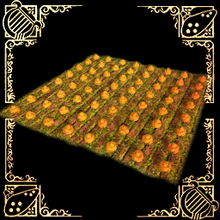 Field (Ordona).png