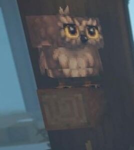 Brown Owl