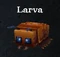 Larva