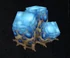 Scarak Egg clump