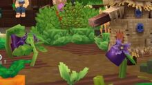Eggplant