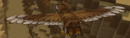 A Owl in Zone 2
