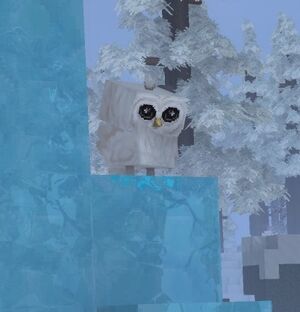 Snowy Owl