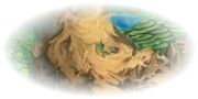 Coquodesert.jpg