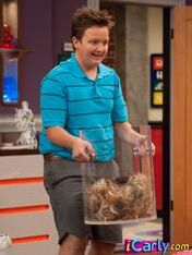 Gibbypic.jpg