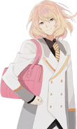 Noah SR Transparent