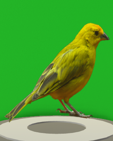 Hi Pitched Taunt Sound I Don T Feel So Good Simulator Wiki Fandom - hi pitched taunt sound i don t feel roblox hi taunt sound Hi Pitched Taunt Sound I Don T Feel So Good Simulator Wiki Fandom - roblox hi taunt sound