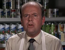 Dick Van Patten as Grocer