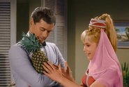 Jeannie returns with a pineapple from a plantation she blinked into existence for Tony - in Alaska!