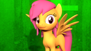 Gm scootalooalt