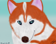 I drew one of my friend's dogs, Muncie. Such a handsome boi. xP *insert Mung Daal's "ladies" line*