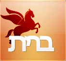 ברית