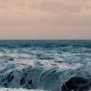 WAVE.jpg