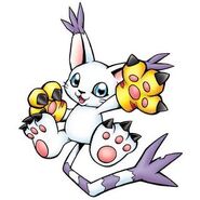 Gatomon without a tail ring.