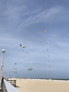 I loved these kites!