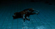 MovieScreenshot140