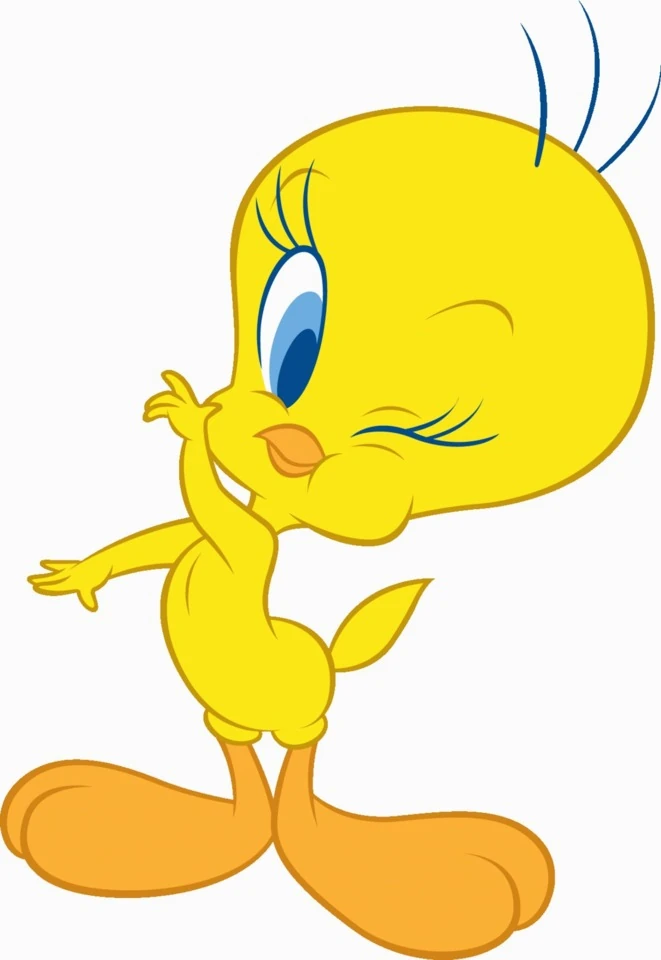 tweety Tweety Bird Embroidery Design (digital Download) - Etsy