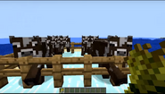 SSundee attempting to feed some cows
