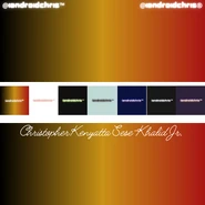 Iandroidchris, Inc. (78 KB)