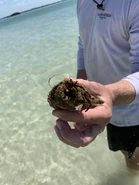 Ocean Vibes🌊 - Christopher Kenyatta Sese-Khalid Jr. (@iandroidchris) 🌎🌏🌍🌏🌎 Date: March 1, 2021 Location: Tampa, Tierra Verde, and Shell Key Shoal, Florida, US