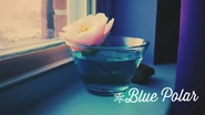 Picture By Aaliyah Janai Sese-Khalid Spring 🌸 Date: March 18, 2016 Location: At Home, Prince William County, Virginia, US