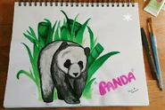 Panda 🐼 By Aaliyah Janai Sese-Khalid May 7, 2016 Location: At Home, Prince William County, Virginia, US